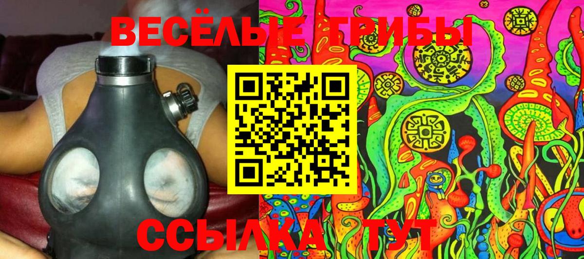 Галлюциногенные грибы Cubensis  Вход с VPN  Псилоцибиновые грибы GOLDEN TEACHER  Соль-Илецк 
